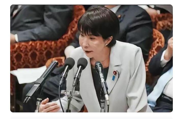 高市早苗这波，彻底把日本“坑惨”啦！高市早苗这一顿操作，让日本彻底陷入僵局，她