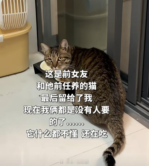 相当于刘星判给了夏东海哈基米：流浪几张双人床，换过多少信仰