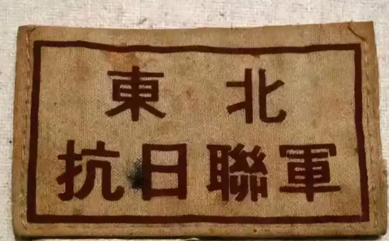 东北抗联高干中的雄才大略者都有谁东北抗联中有哪些兼备战略智慧和大局观的人