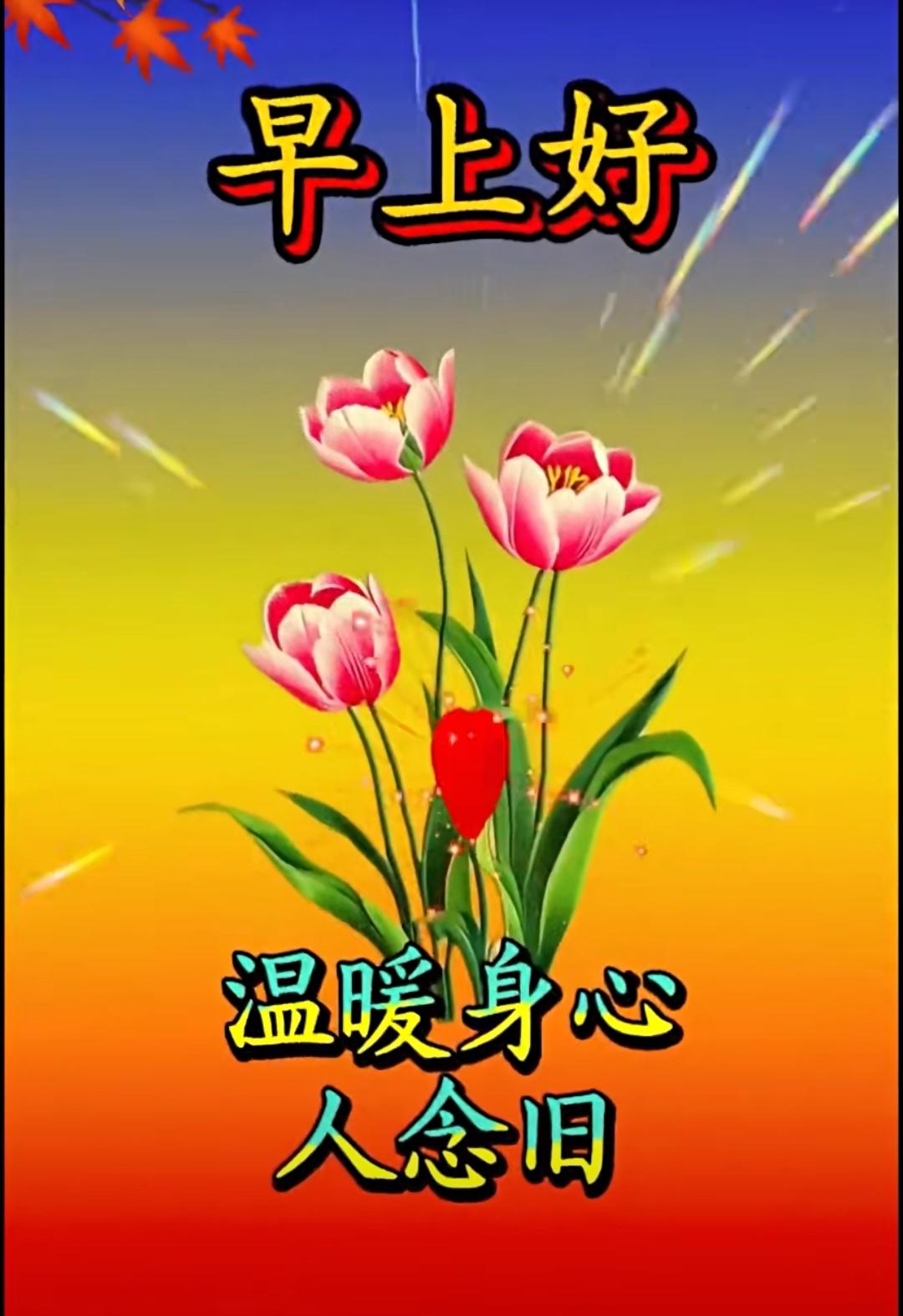 涼風漸濃滿目秋，鴻雁南歸頻回頭，秋意無聲緩緩去，歲月如梭難挽留，冷暖變換