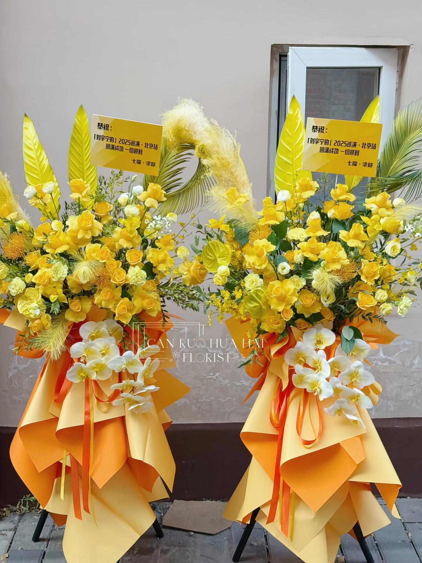 老大，我好想在现场告诉你，你的歌陪我度过了无数个哄睡娃后的深夜，你的乐观治愈了我