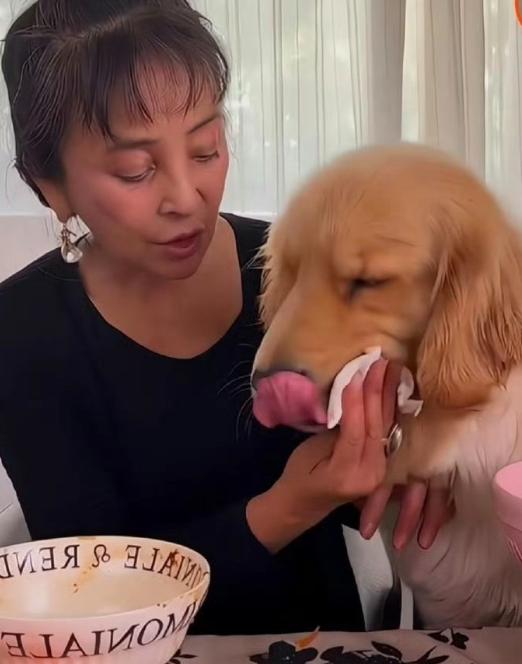 李勤勤再次回应于朦胧事件，实在太霸气了！关于于朦胧的狗狗如何收留，李勤勤很霸气