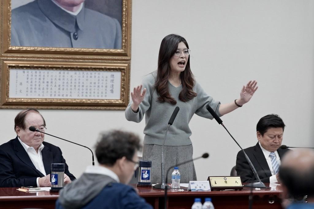 蔡正元给郑丽文三点忠告：输赢才跟郑丽文有关，两岸和平是跟当政者的赖清德有关！郑丽