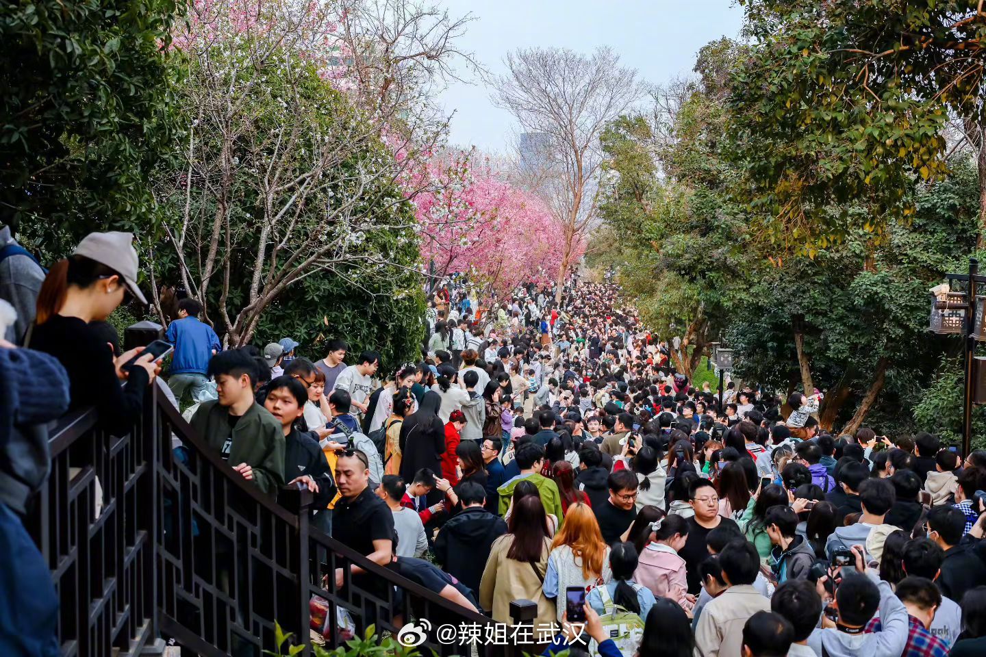 武汉武汉龟山也是出息了，这人流量算是武汉顶流了吧在武汉走进莫奈的油画武汉