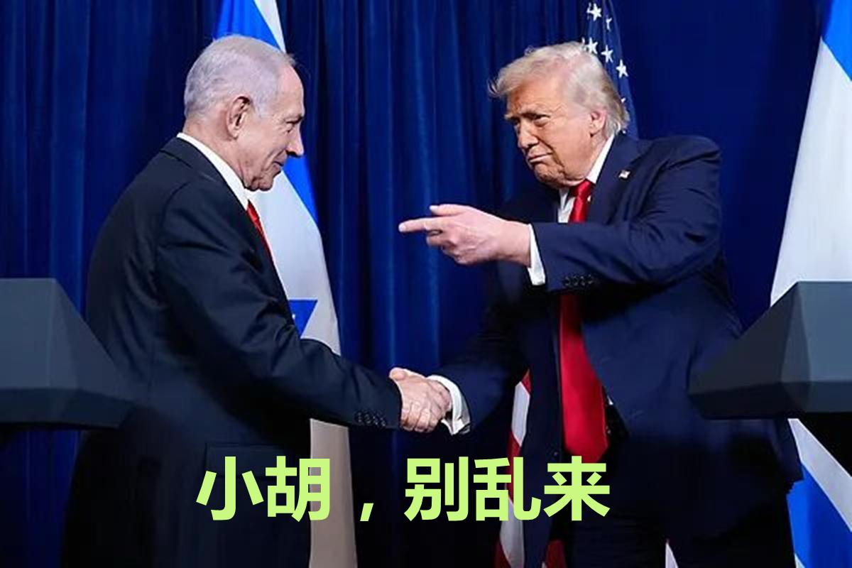 特朗普想让内塔尼亚胡下台？其后台利库德集团慌了特朗普可能有点恨以色列总理拖他