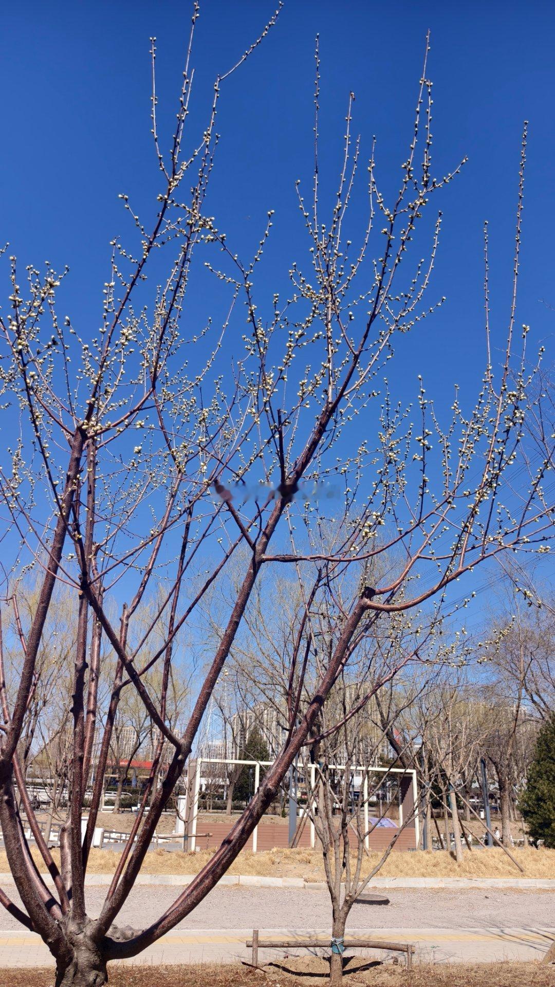 《道德经》上说：“知足不辱，知止不殆，可以长久。”懂得适可而止，福禄才能长长久久