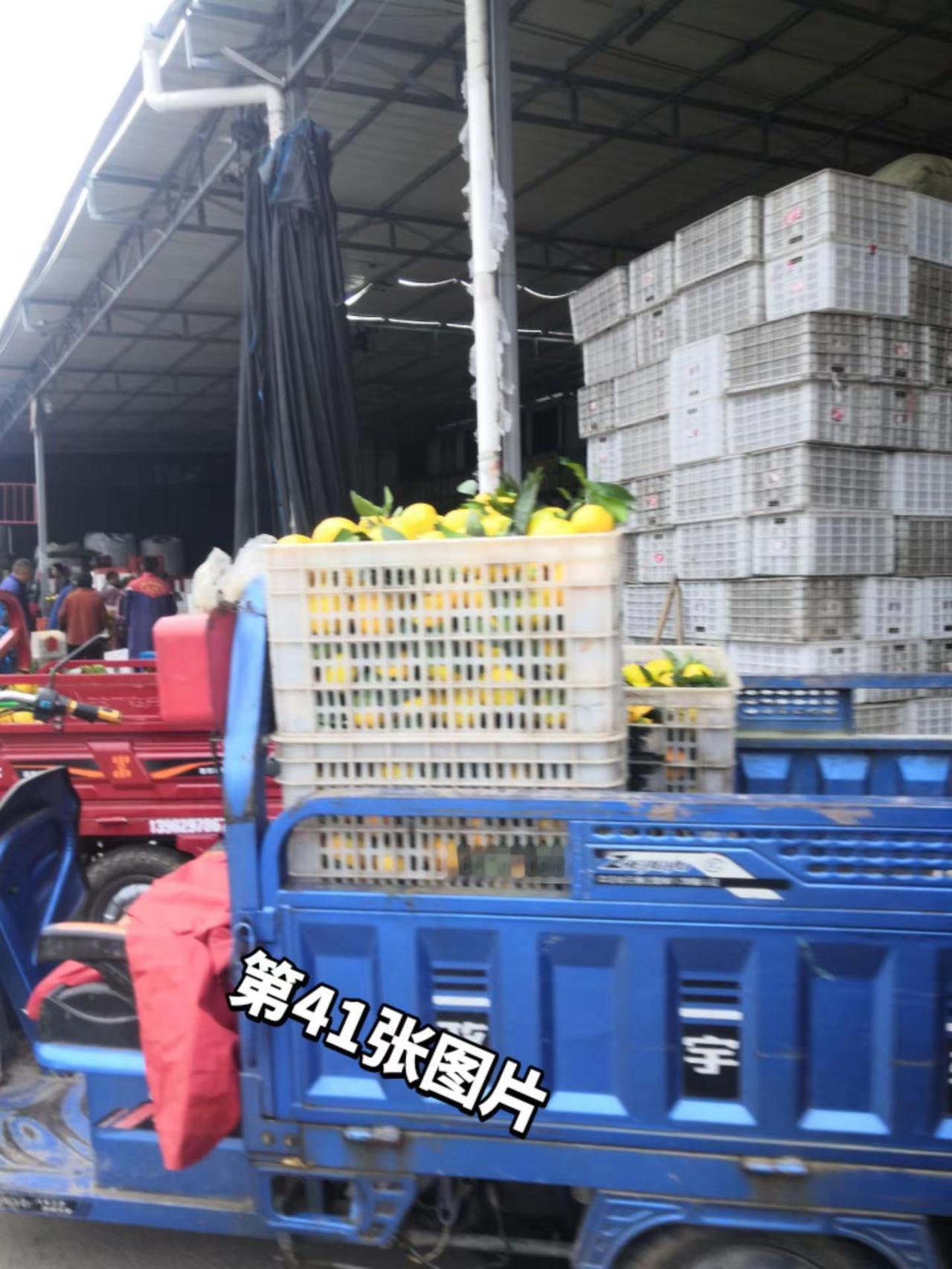 41集资阳农村打开美好生活果农的生活我的生活点滴加班熬夜未来的你一定会感