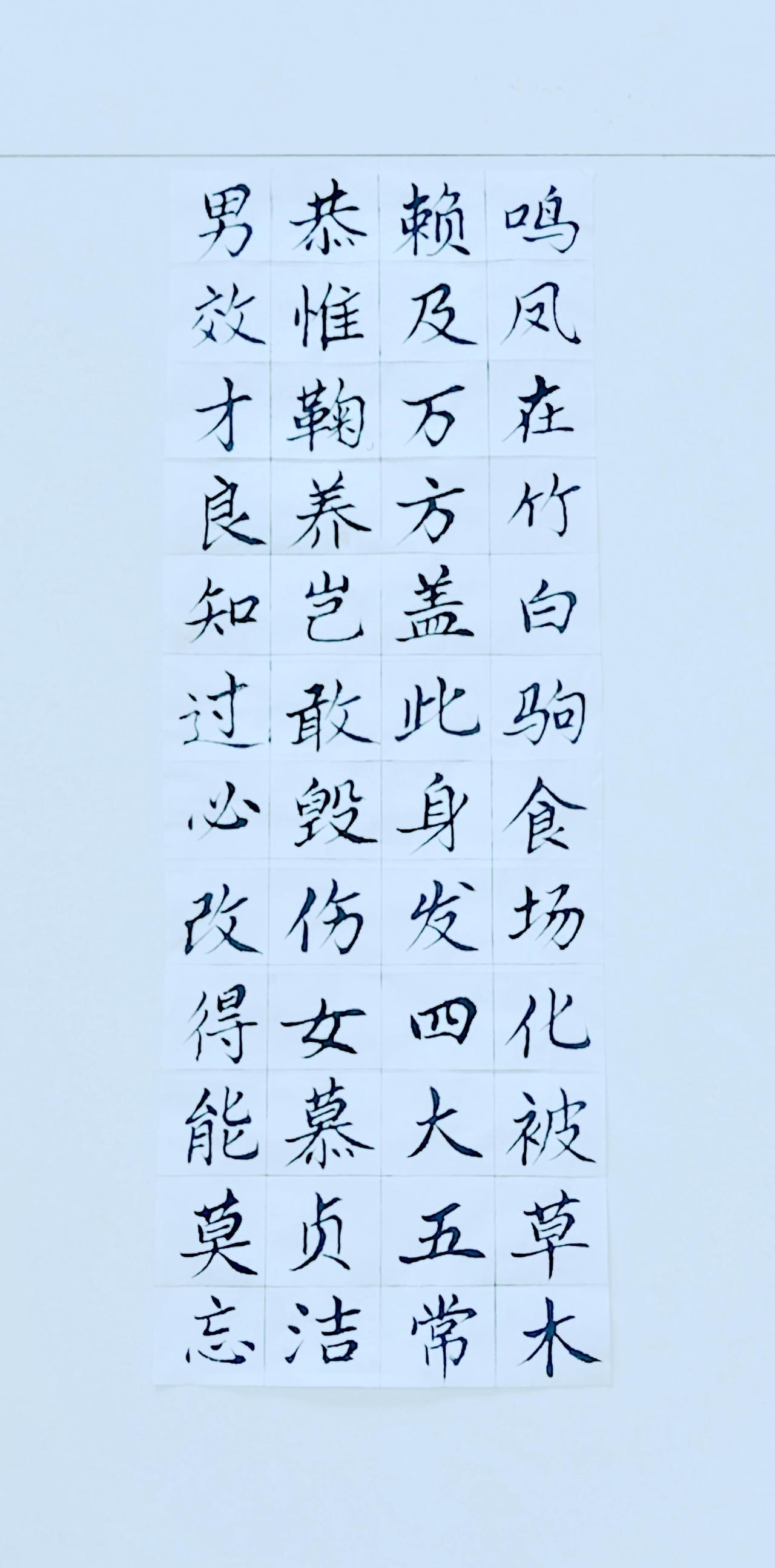 第四十九天《千字文》（4）正楷毛笔练习：今天不在状态，太差了！[点