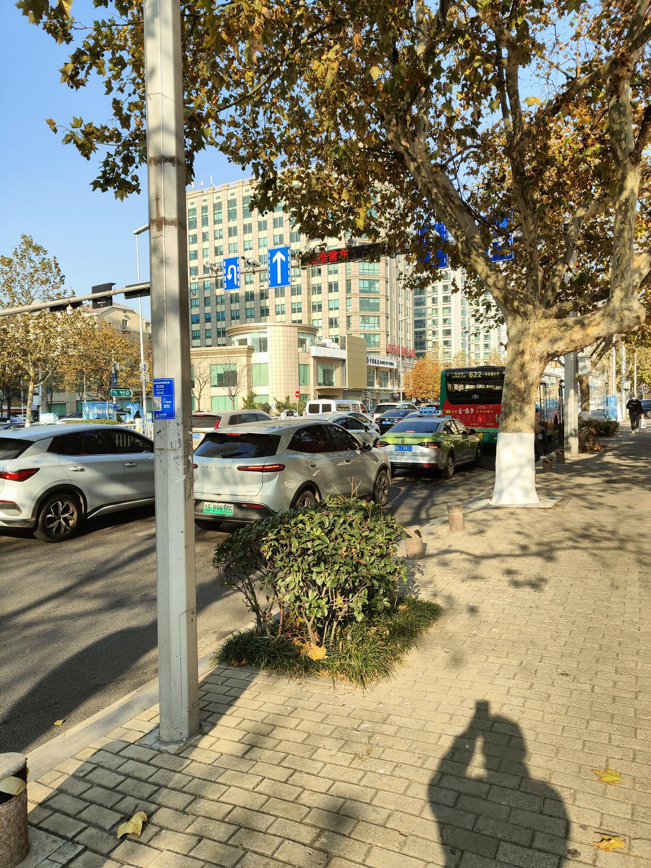 空说无凭，拍照给大家，看看青岛主要交通要道的私家车占有量