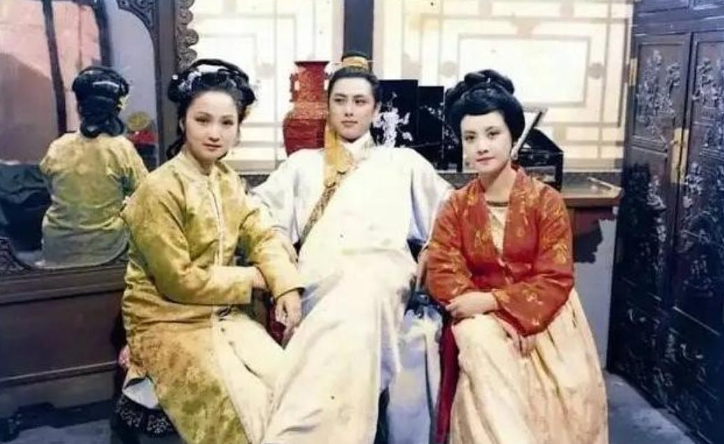 古代大宅门里，有一种女人，地位比妻低，身份比妾贱，但比这两个人都累。她们卧室的门