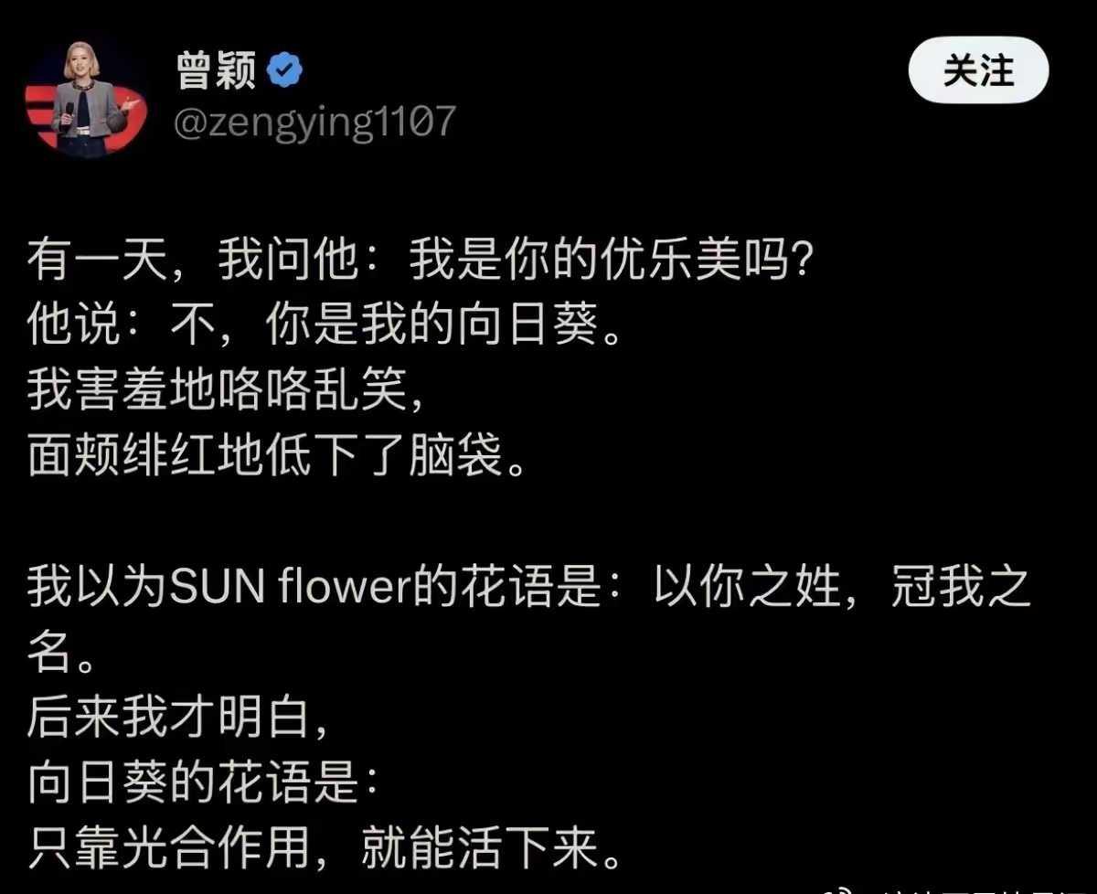 曾颖的段子那么厉害了吗