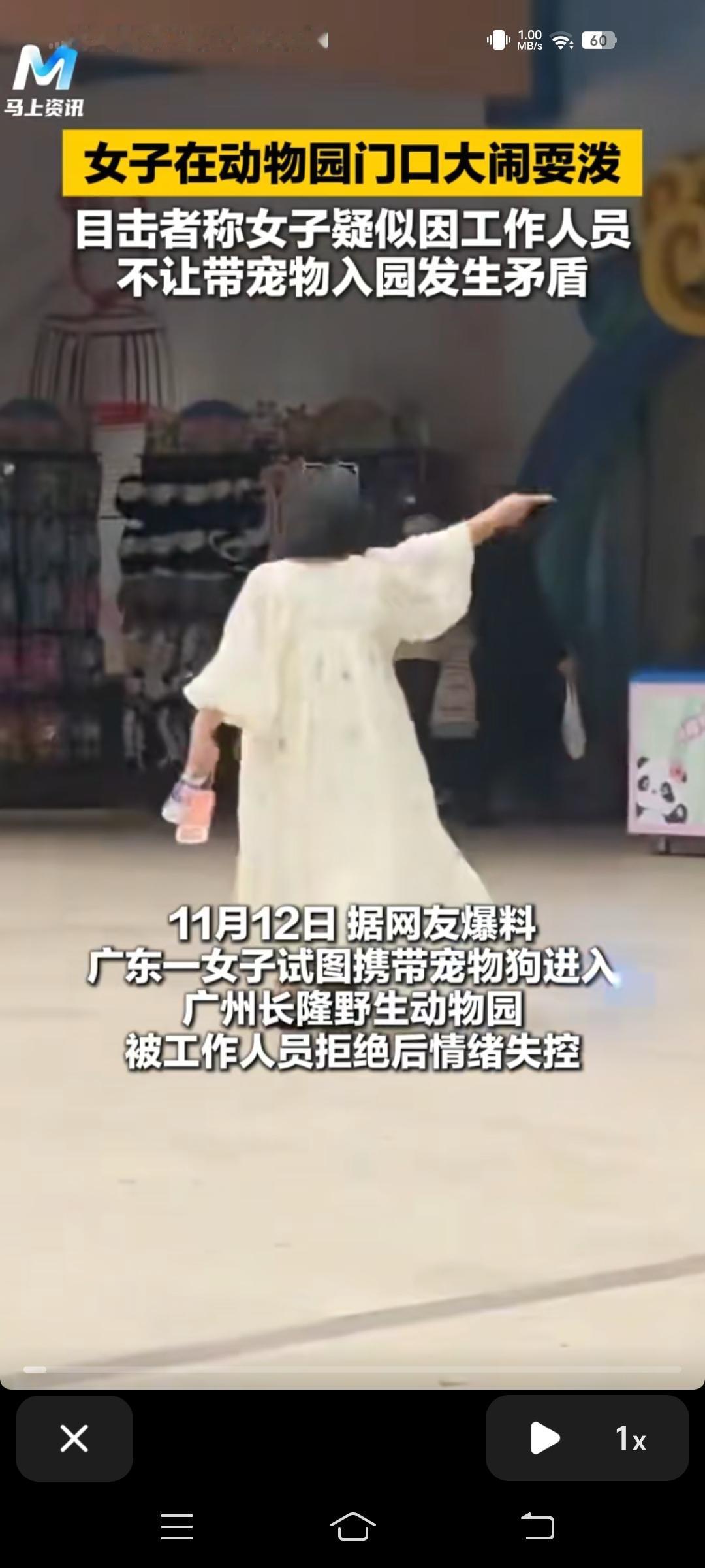 11月12日，广州长隆野生动物园，疑因不让带狗进园内，疑是“包租婆”样的女子大闹