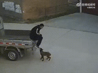 我看了好几遍，都没有看出来狗主人的刻意伤害，只是简单的接触了一下，然后就这