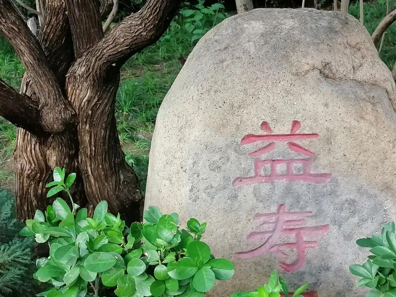 健谈偶得——长寿、饮食与人生智慧近日于野外游泳锻炼之时，一位与我年纪相仿的退