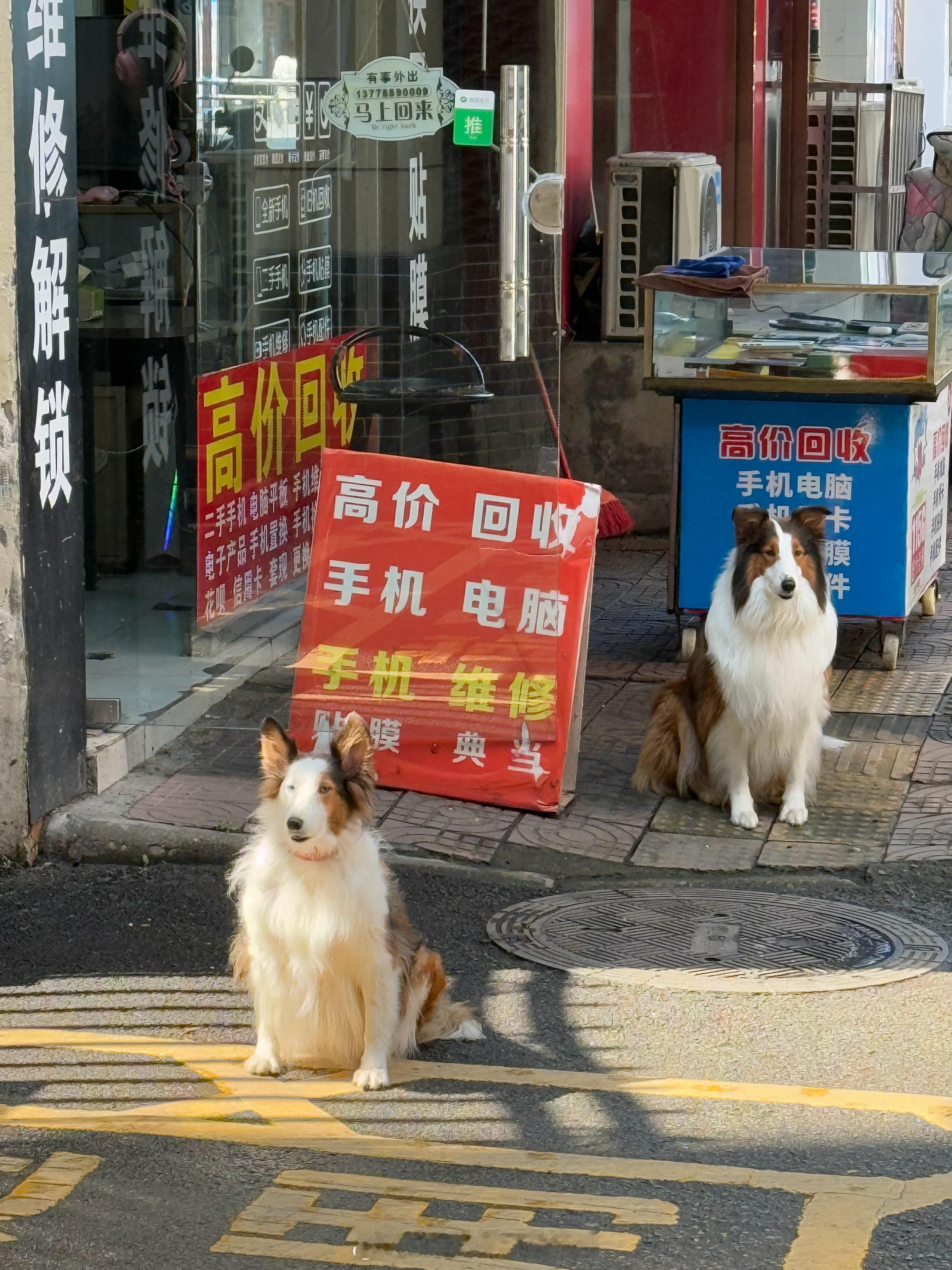 在四川出太阳了