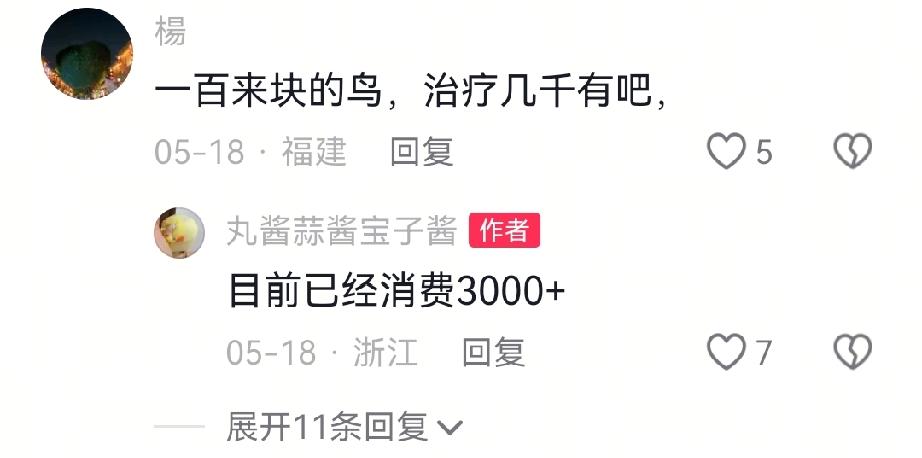 你能想象吗？为了一只鹦鹉，主人可能会花几千甚至上万去给它治病。起因是一位网友