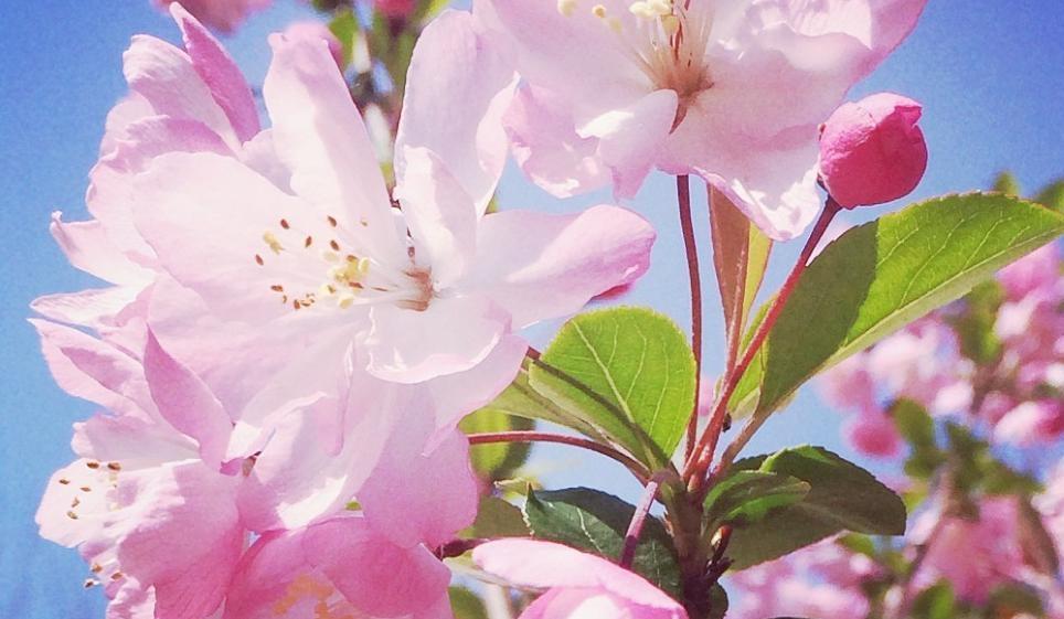 儿媳妇今日心情欠佳，满肚子气都想往婆婆身上撒。孩子哭了，她就怪婆婆没给孩子换尿不