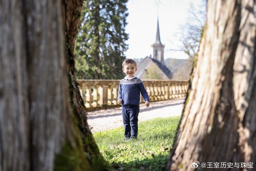 新闻2026.3.27卢森堡王室发布新官方照以庆祝弗朗索瓦王子的3岁生日，好