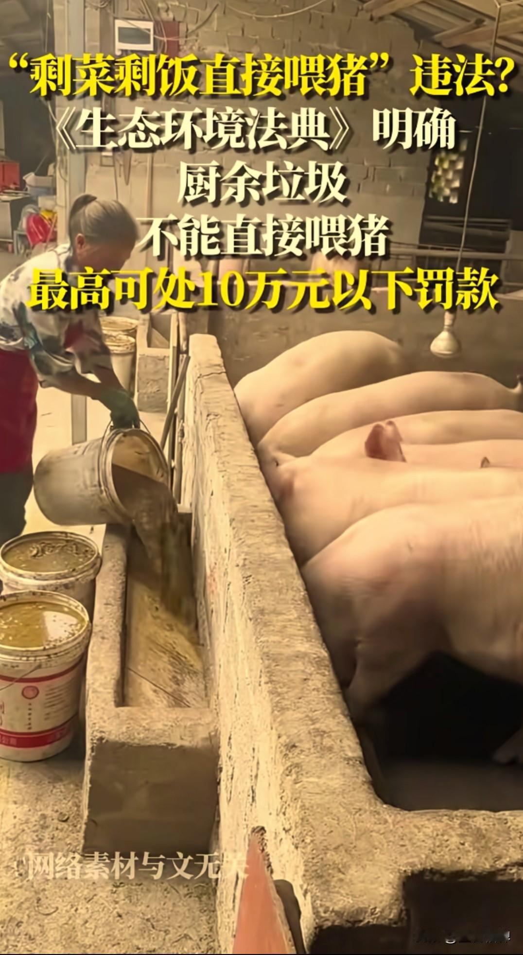 以后餐馆、食堂的泔水不能直接喂猪了，农村自家散养，用家里吃剩的饭菜喂猪不受限制，