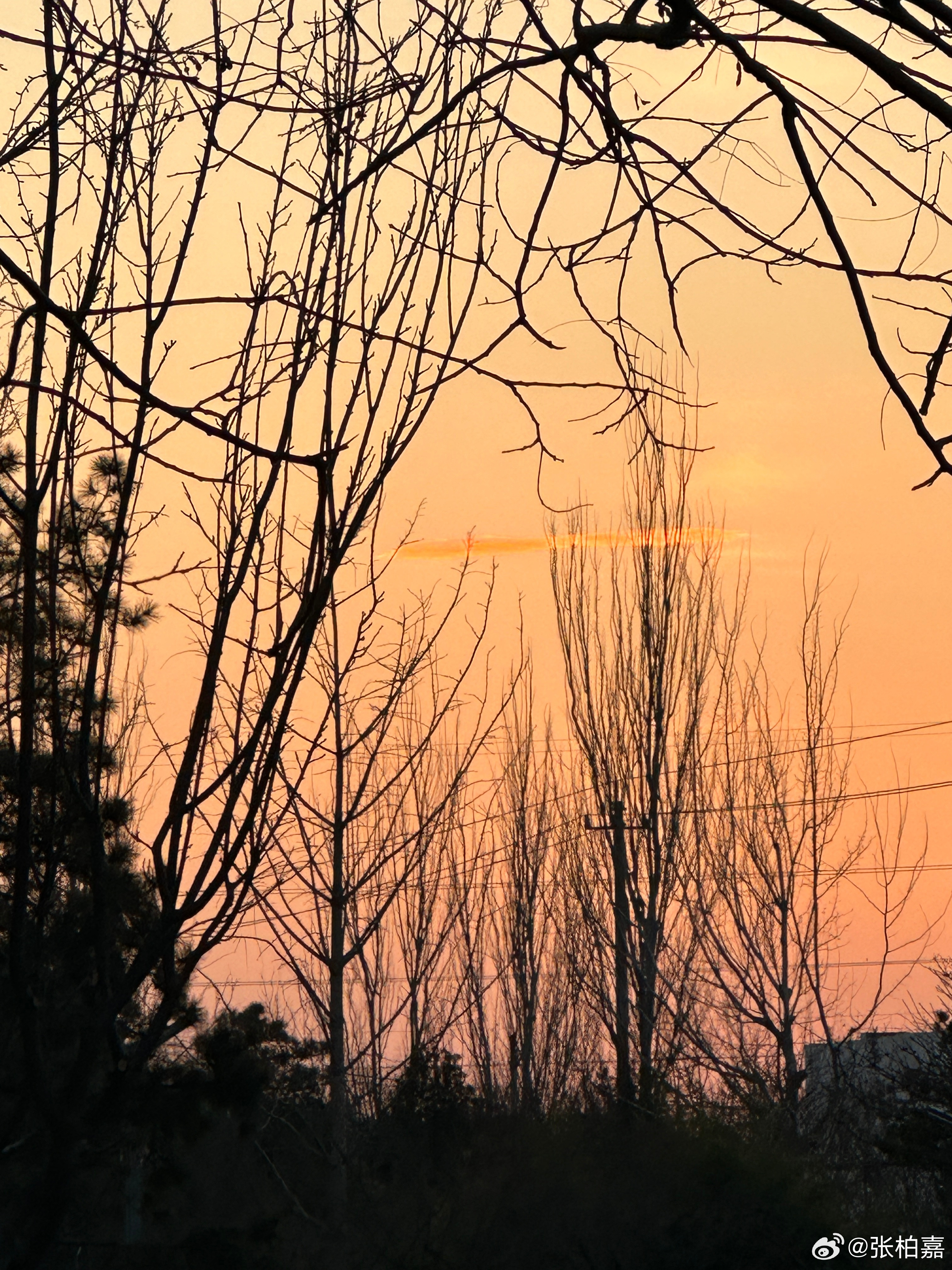 📦三月底感受春天🍃把春天拍给你看