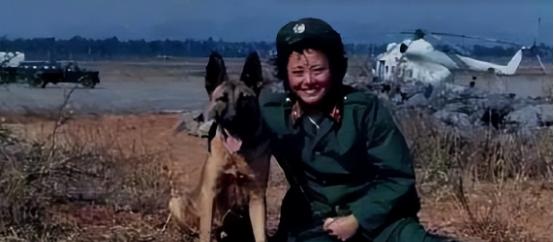 “别过去，它在骗你！”1978年，内蒙古一女军医遇到一匹冲她哀嚎的狼，她把一个肉