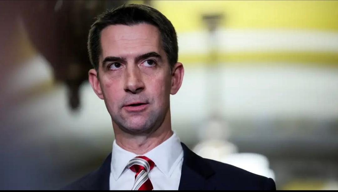 被我方制裁的美国共和党籍参议员汤姆·科顿昨晚（北京时间4月9日晚）写道：“我们不