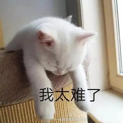 之前有一个交通事故案件，对方撤诉后又重新起诉，证据里面冒出来一份《交通事故责任认定书》，系成都市交通