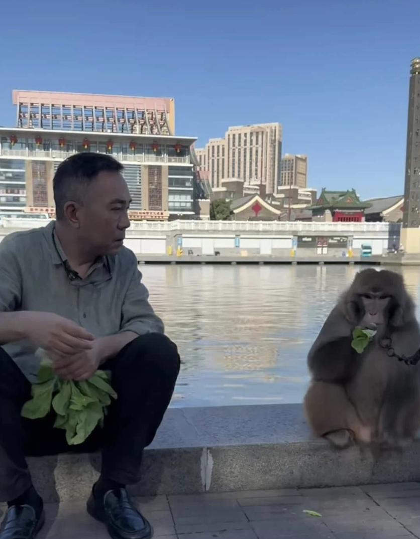 侯震竟然用和猴子打架的视频回应他叔叔侯耀华的言论。他这是要与他叔叔干架啊！少