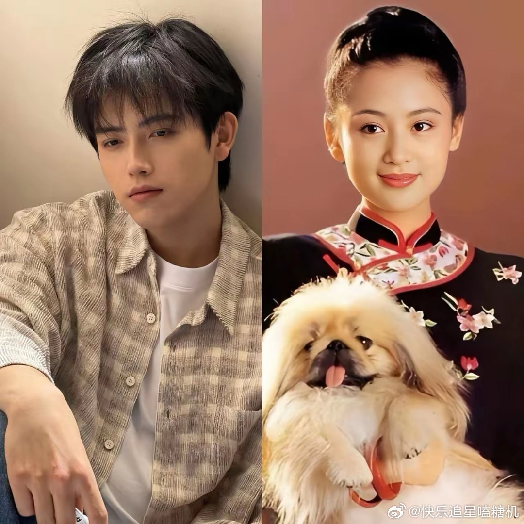 明眼人都看出来了，陈飞宇很难结婚了，不是因为他不优秀，而是因为没几个人能达到他的