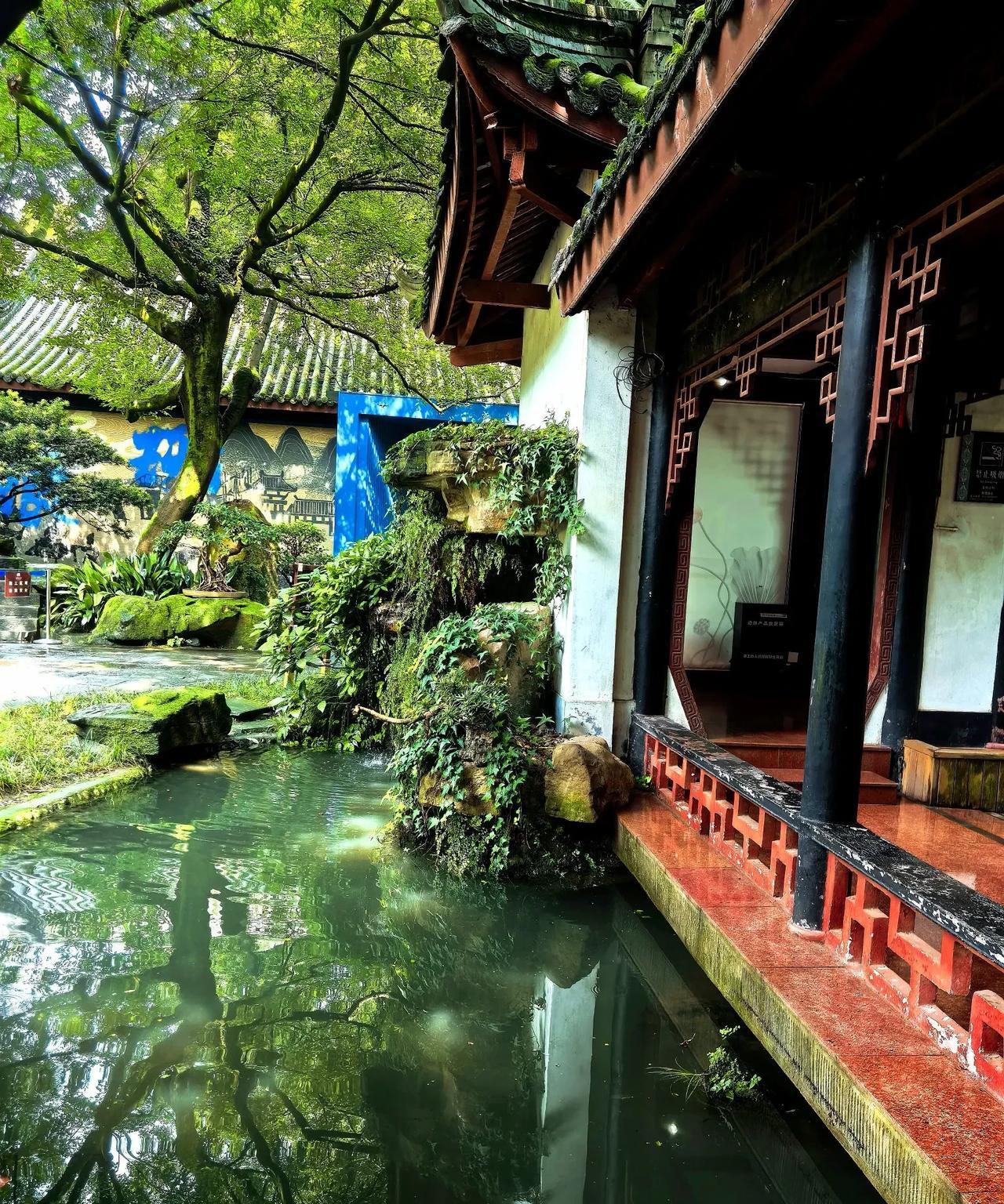 活着活着，就明白了：我都50多了，守着自己的工资、存款、医保、保险、基金过日子就