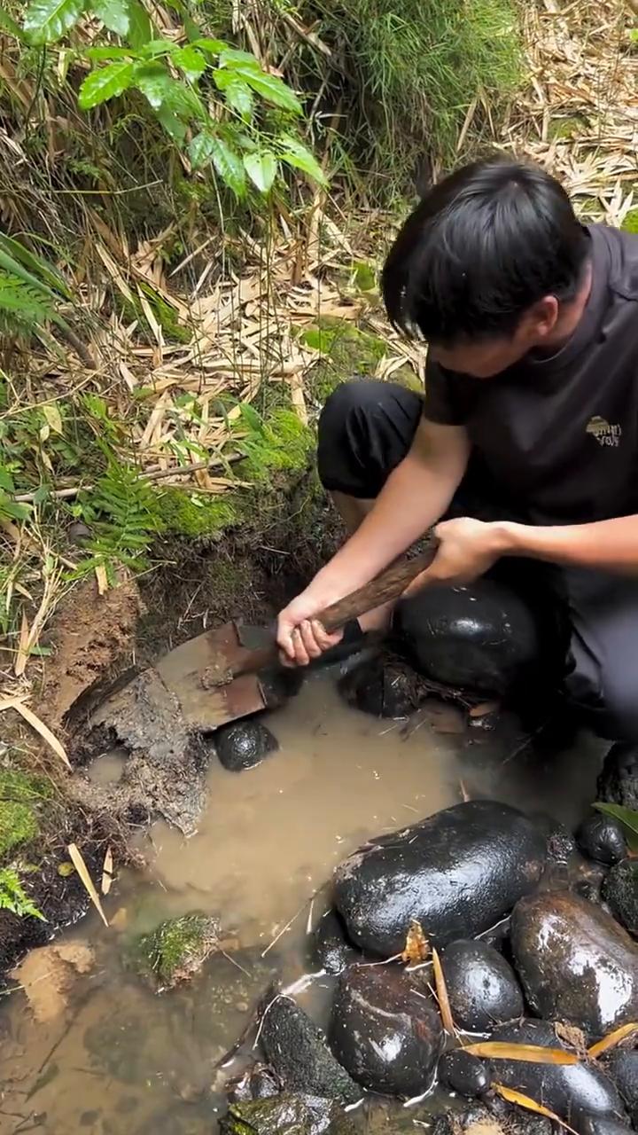偷吃鱼的大家伙。今天把我家鱼塘的水全部放干了，来这边上找一下。我家的鱼最近丢失