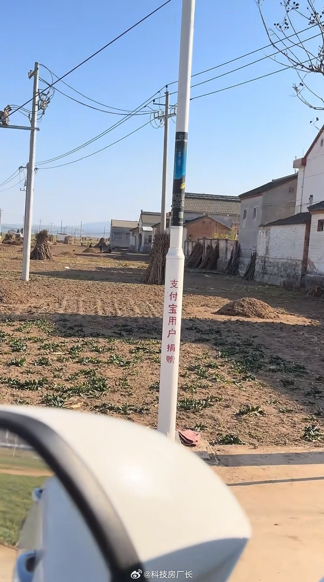 支付宝捐的蛋以为就是个游戏，没想到真能落实到公益中