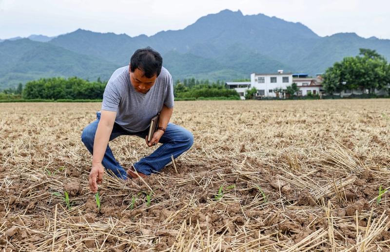 1.4万亿斤！中国人的饭碗有多稳？背后3个转折点太提气家人们，刚出炉的中央