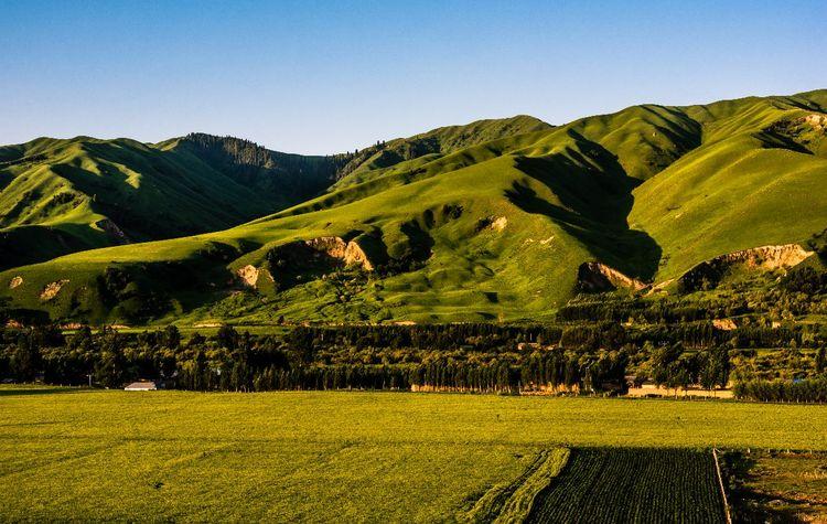 世界四大草原之一, 私藏在中国新疆, 被称为空中草原!