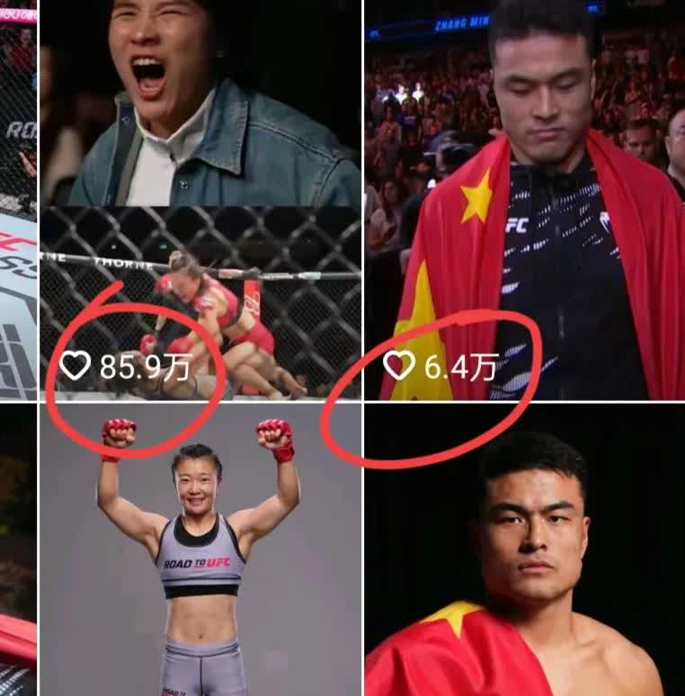 你绝对想不到，一个刚进ufc，即将进行ufc首秀的女子，人气竟然把ufc格斗之夜