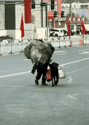 拾荒的老人和他的心爱的小狗每天都在这个城市中穿梭，他们以此为生，乐此不疲。有人说