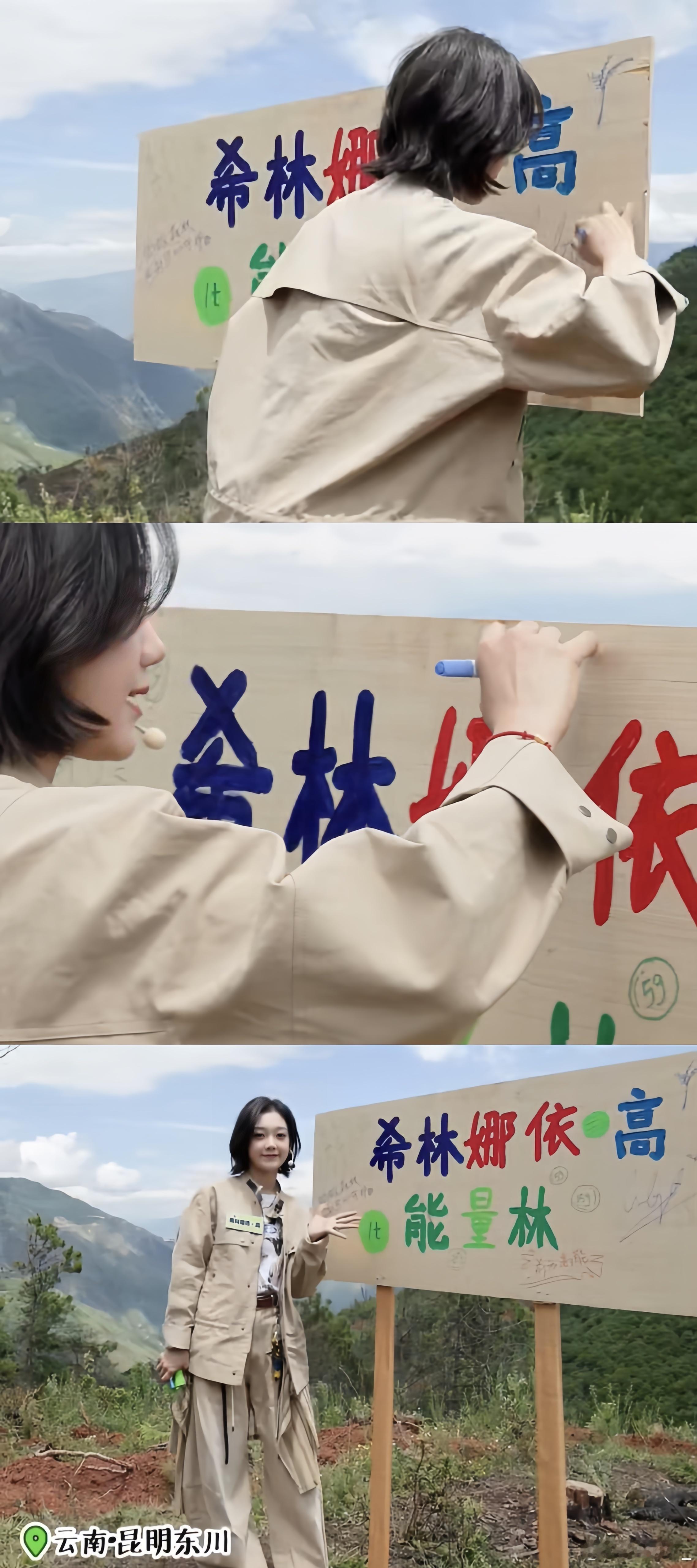  希林娜依高开辟逆应援新赛道刷新认知！她不搞常规逆应援，偏偏选种树做绿色公益，