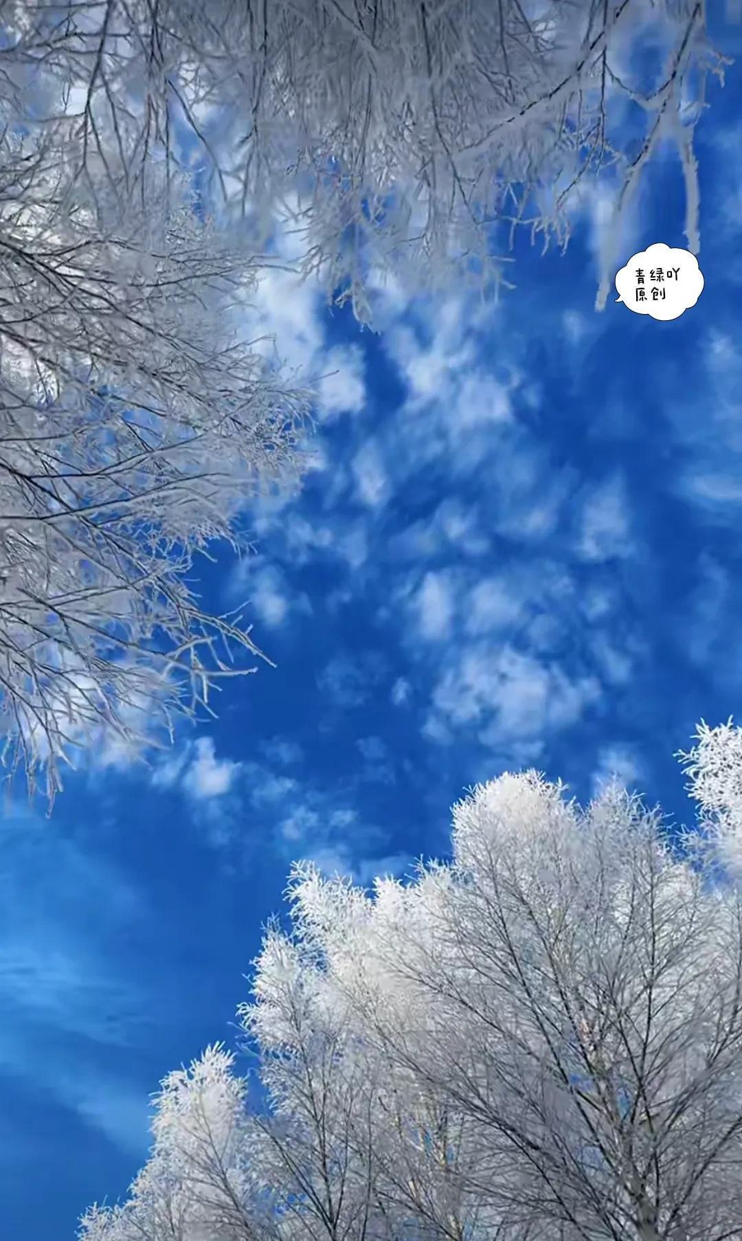 双子过着惬意的小日子双子简单，没有什么心眼，也不屑于和八百个心眼的人交往。年轻