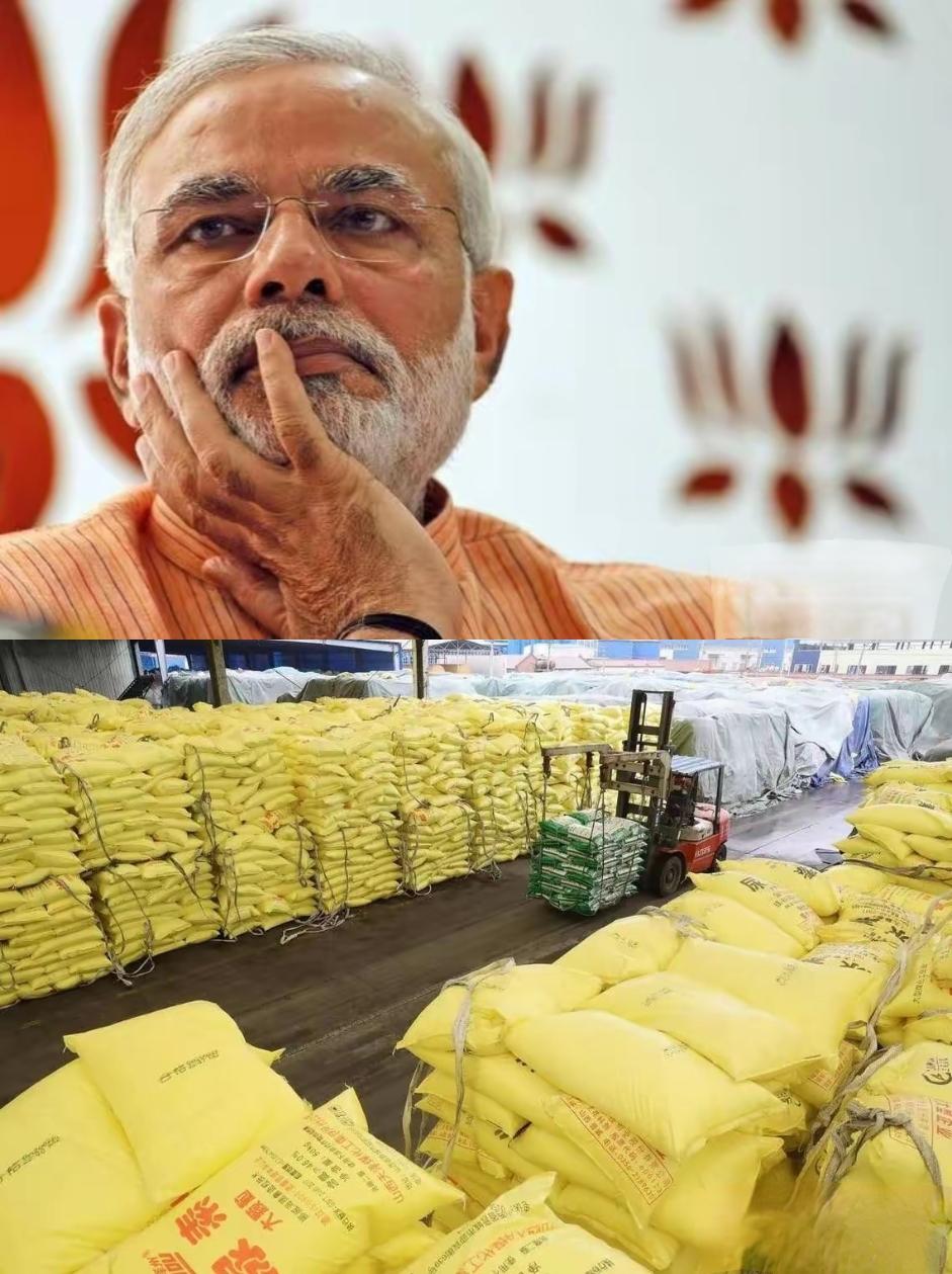 印度尿素招标遇冷，250万吨大单没人敢接印度这次抛出250万吨尿素采购大单