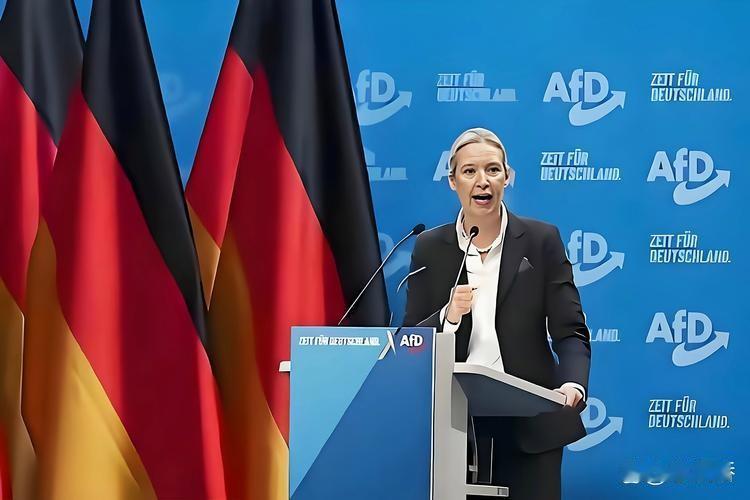 德国选择党彻底爆了！魏德尔支持率冲到81.3%背后，德国人为何突然转向？魏德尔这