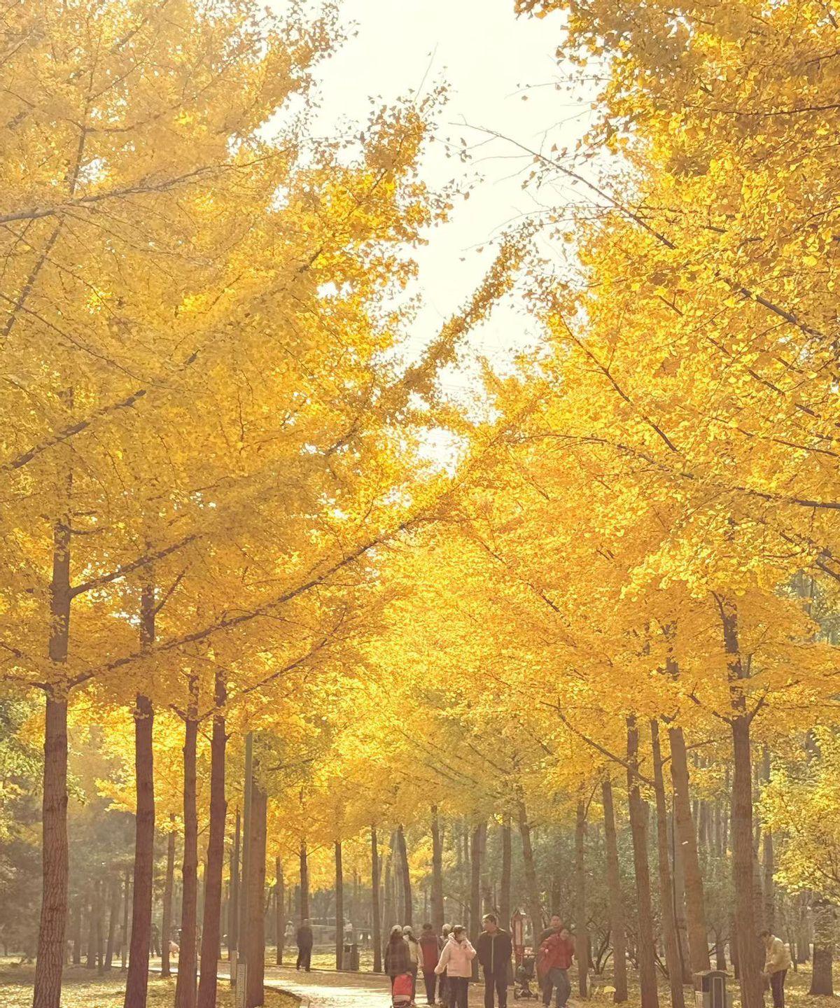 42岁货车司机跑长途时胸口疼得冒汗，给老婆打电话说扛不住，老婆哭着求他靠边停车，