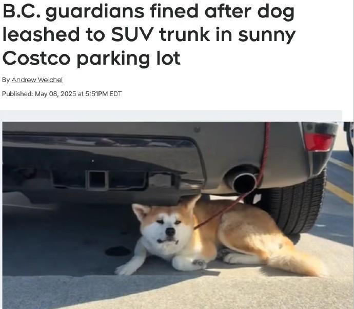 加拿大华人母女去costco采购