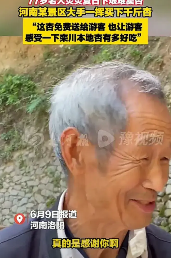 一觉醒来河南文旅又上分了！6月9日，河南洛阳栾川一位77岁的老人，独自推着一车杏