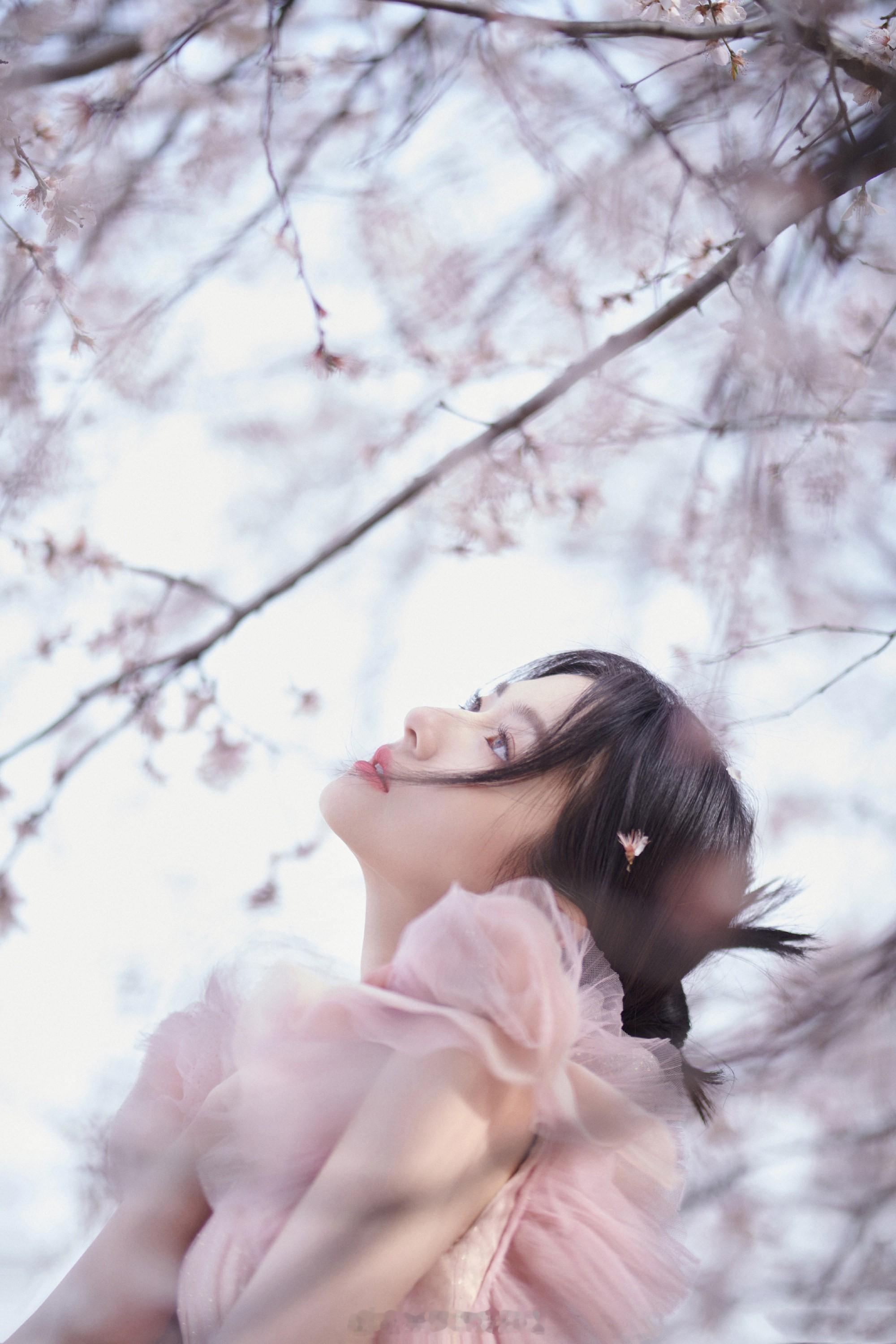 李兰迪粉色纱裙烂漫唯美