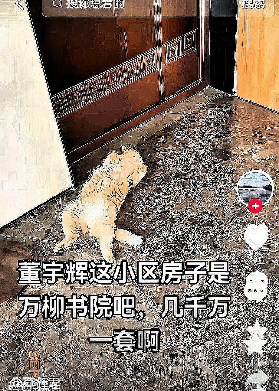 没想到，董宇辉只是晒了个猫猫视频，就有人翻出他的“豪宅”说事。有人言之凿凿地说，
