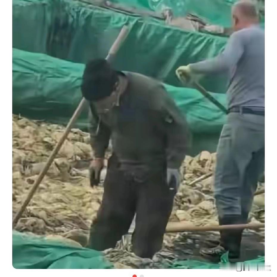 一口痰,毁了千年的老酸菜,也抹黑了打工人10月26日,辽宁省兴城市爆出一名工