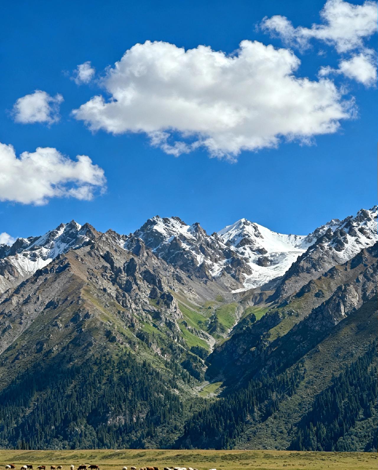 多少存款才能彻底躺平？答案可能和你想的不一样按现在1.4年利率算的话