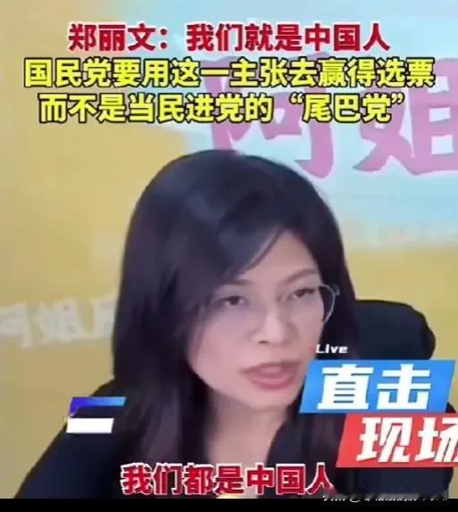 郑丽文：我们都是中国人，都是中华民族大家庭的一员，都是血脉相连的同胞，我们有香港