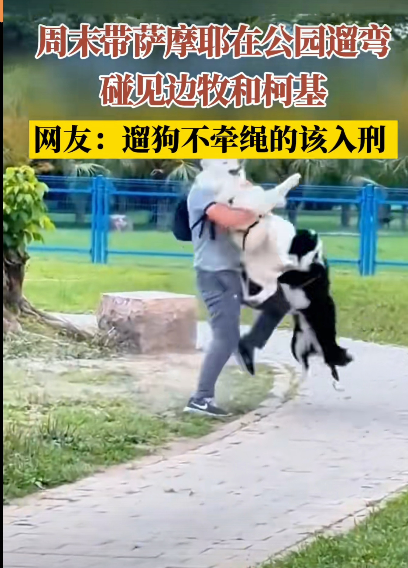 我支持遛狗不拴绳，打死无责。现在三令五申，有些人就是任性，等于纵容狗伤人了，应该依法处理。