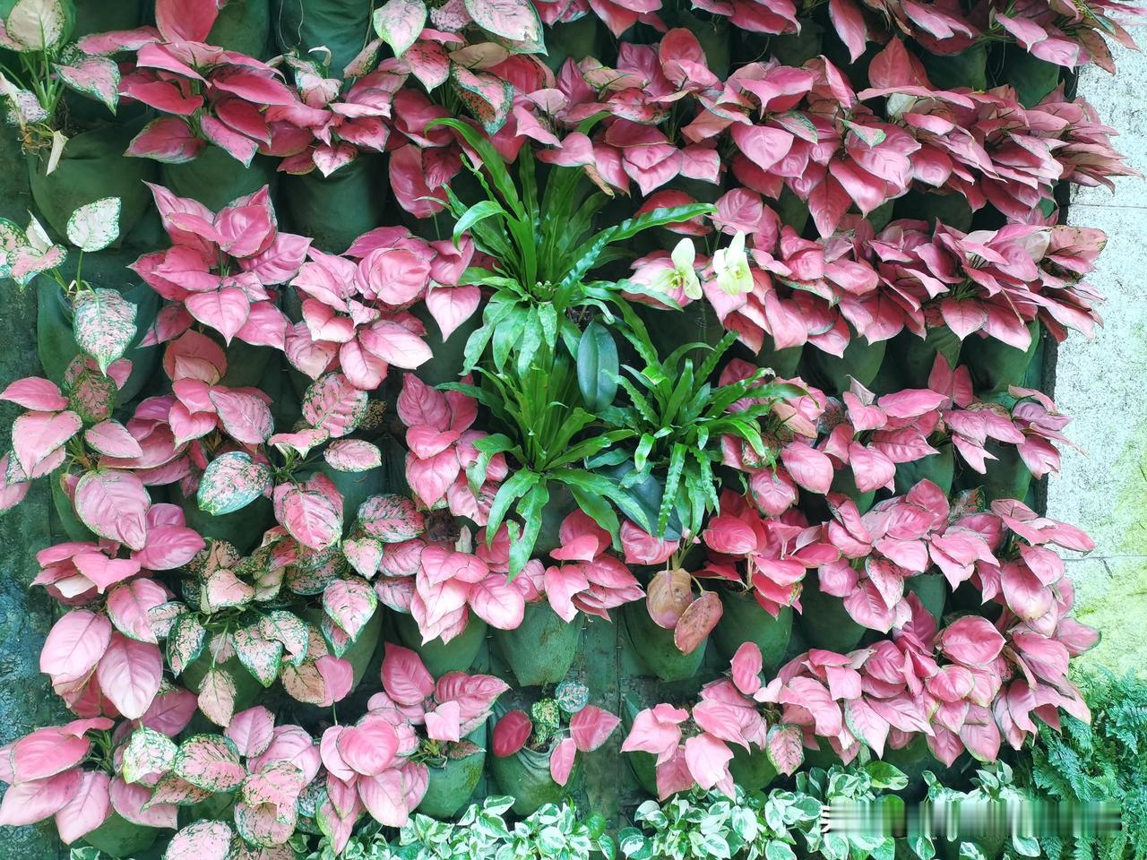 村里的老赵从查出癌症到去世13个月，花了200多万，给儿子留下100多万债务，依